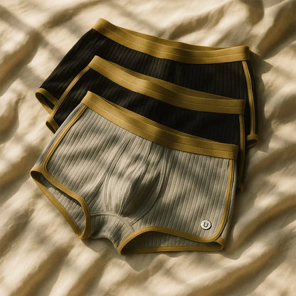 Kingsley Iconic Boxer Briefs